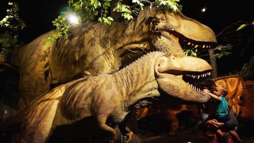Canadian Museum of Nature Fossil Gallery